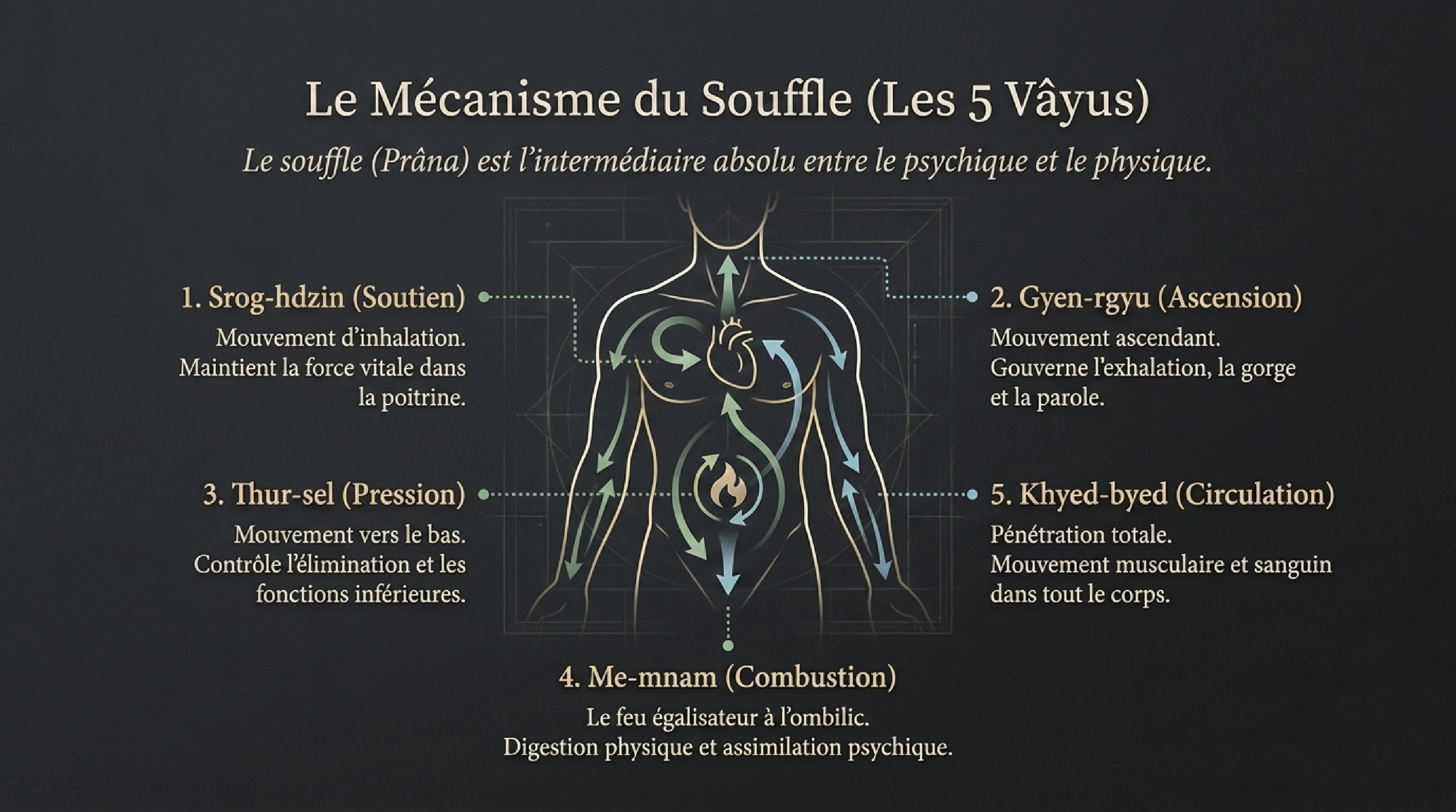 Le gTum-mo : Le Yoga du Feu Intérieur — visuel 5