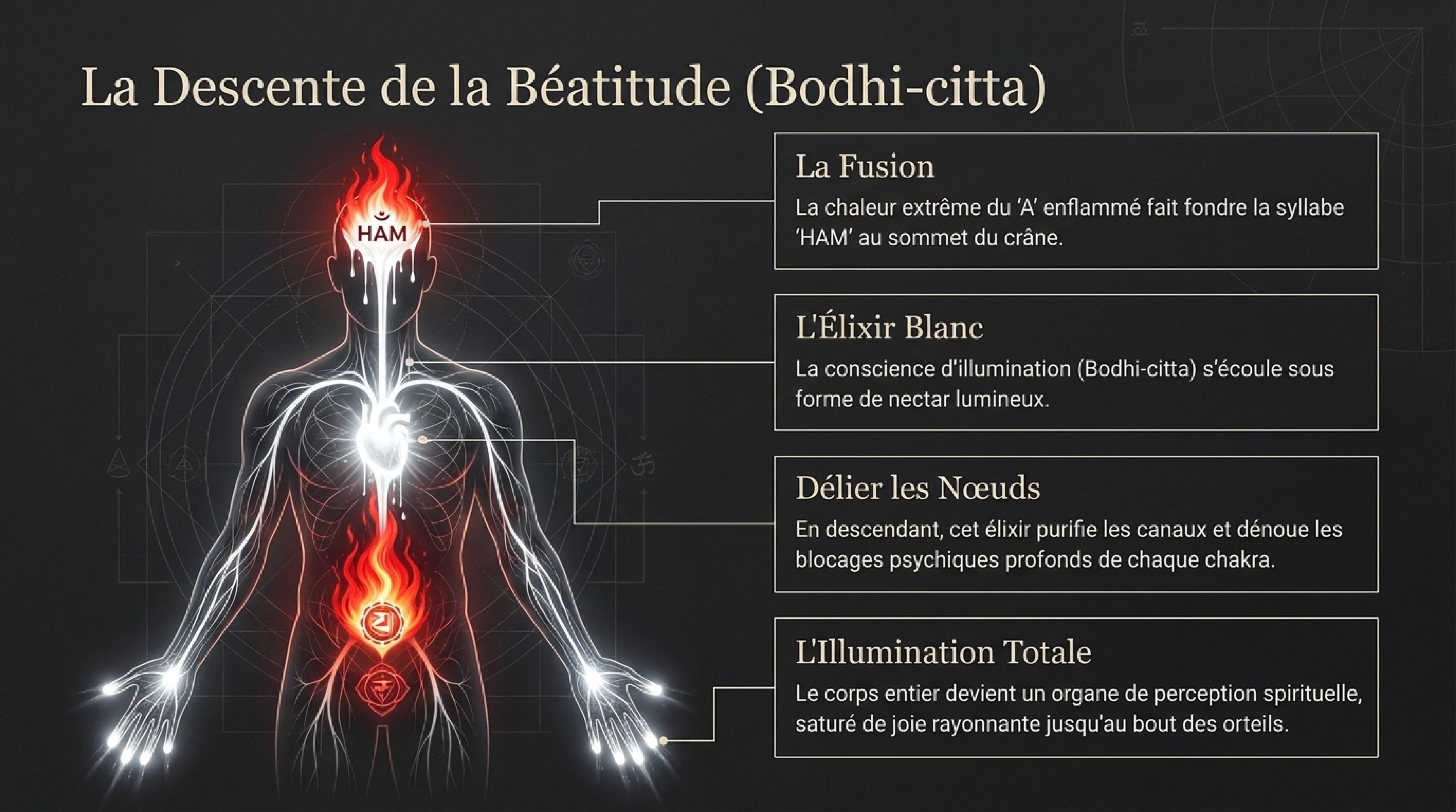 Le gTum-mo : Le Yoga du Feu Intérieur — visuel 11
