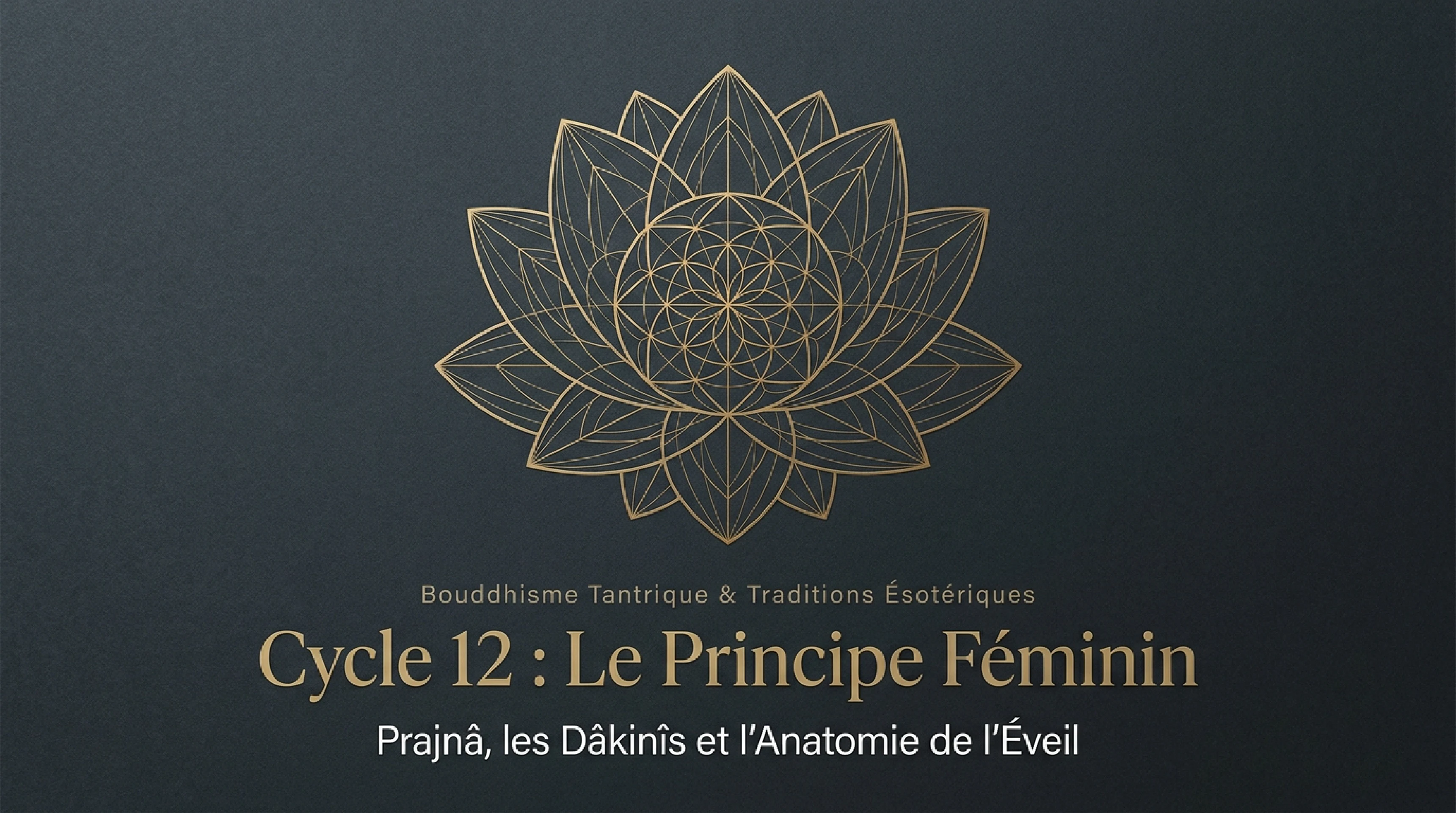 Le Principe Féminin : Prajnā et les Dākinīs — visuel 1