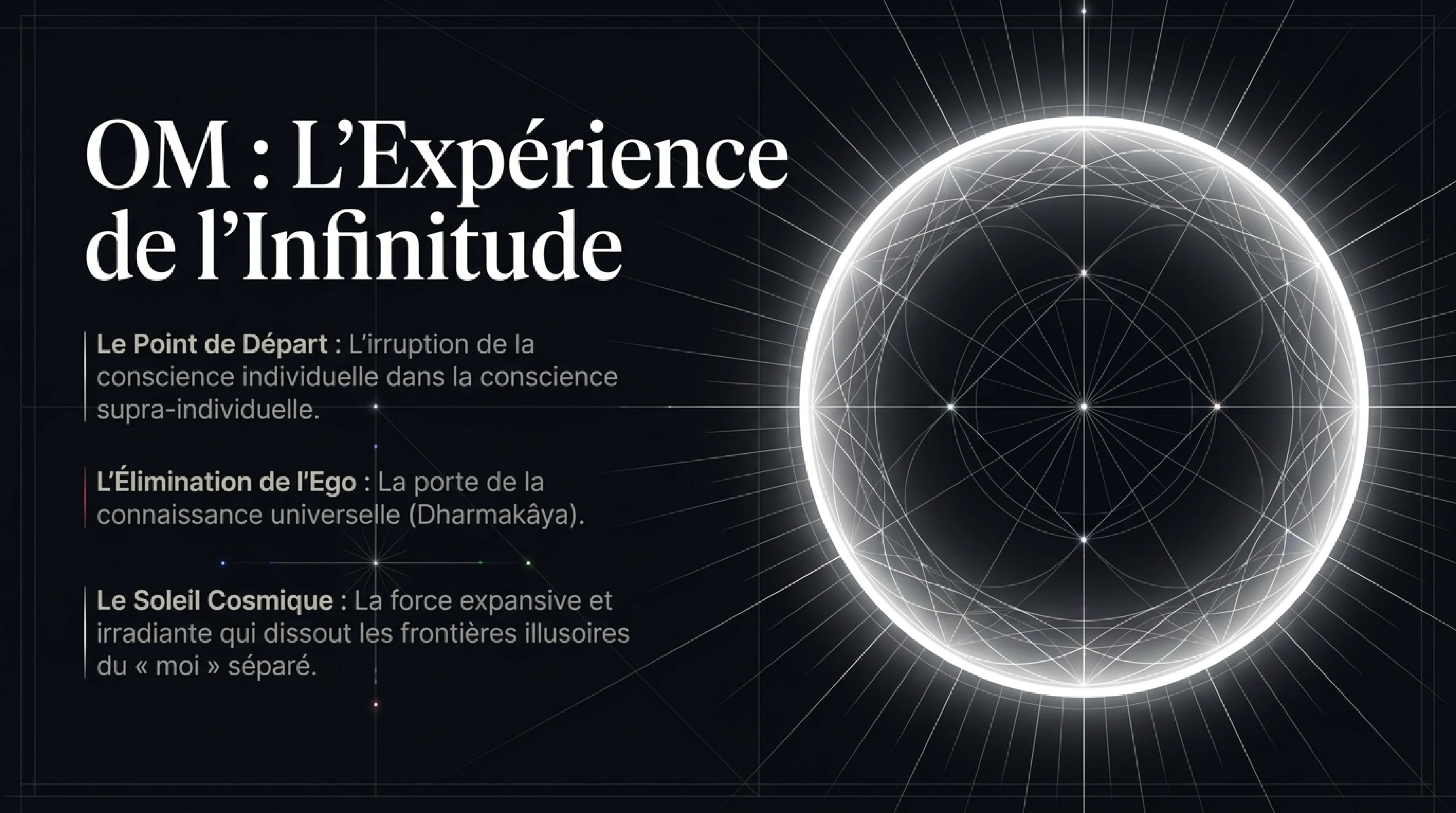 Le Grand Véhicule de Diamant : L'Éveil Ici et Maintenant — visuel 5