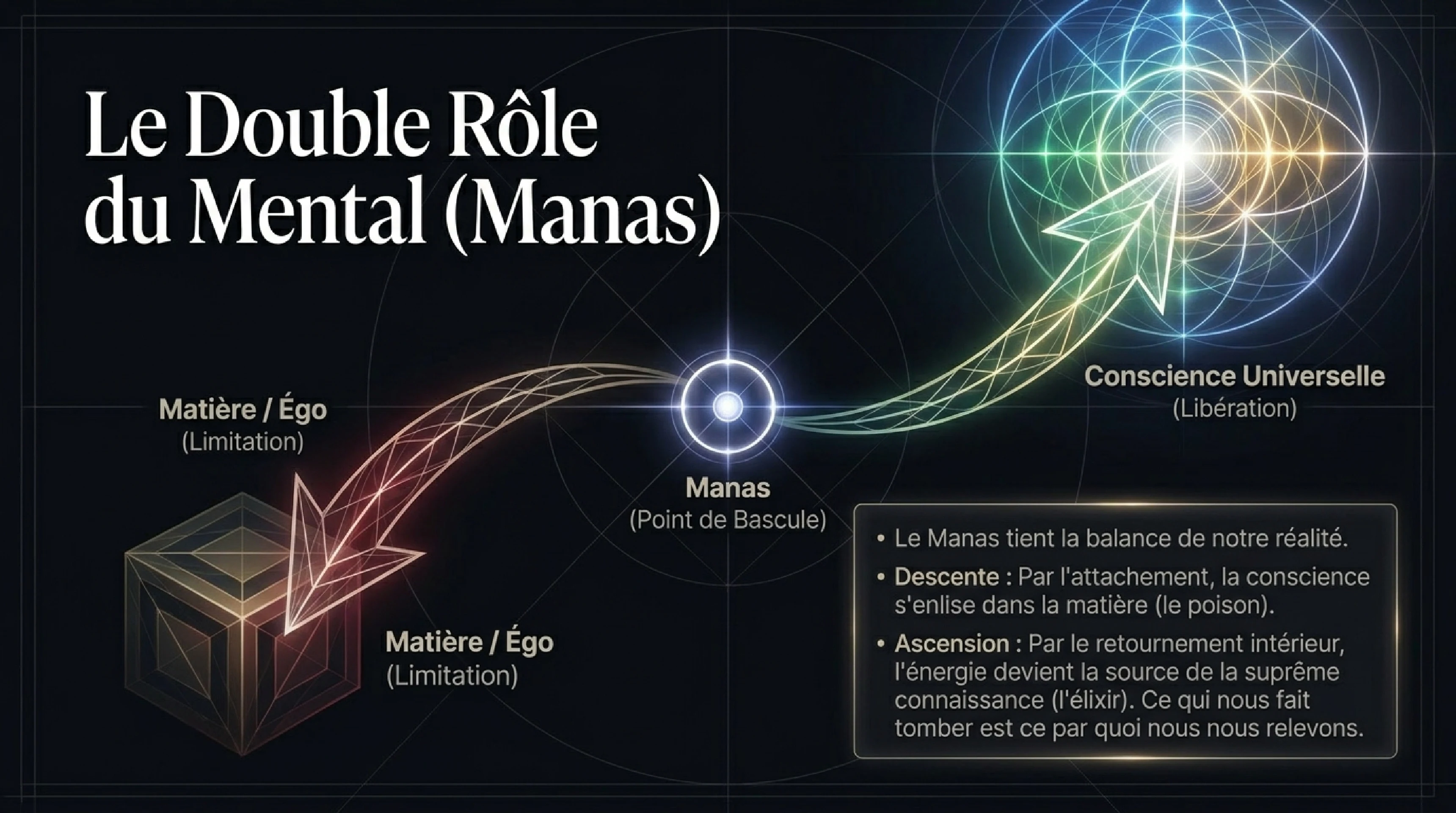 Le Grand Véhicule de Diamant : L'Éveil Ici et Maintenant — visuel 6