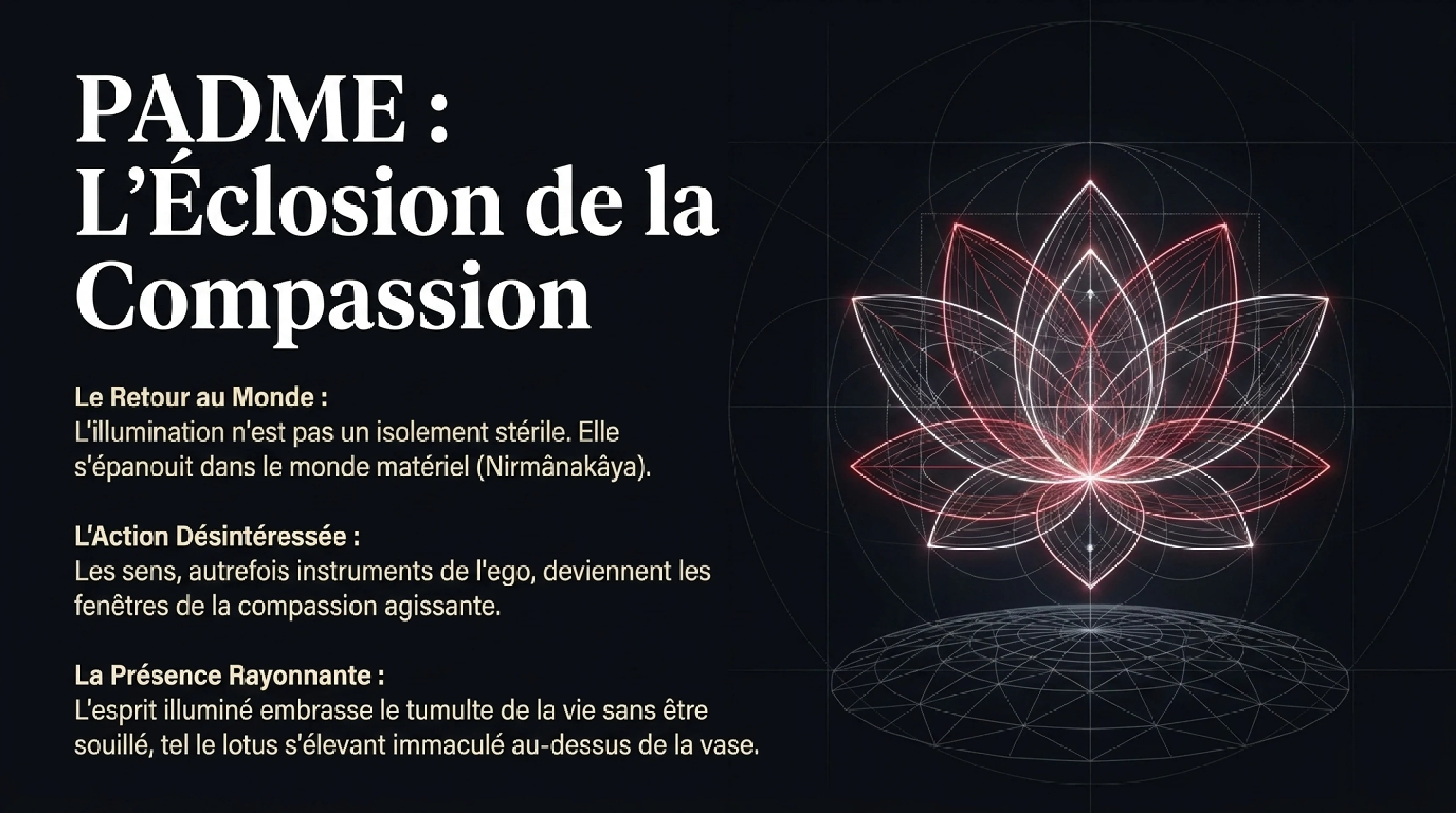Le Grand Véhicule de Diamant : L'Éveil Ici et Maintenant — visuel 8