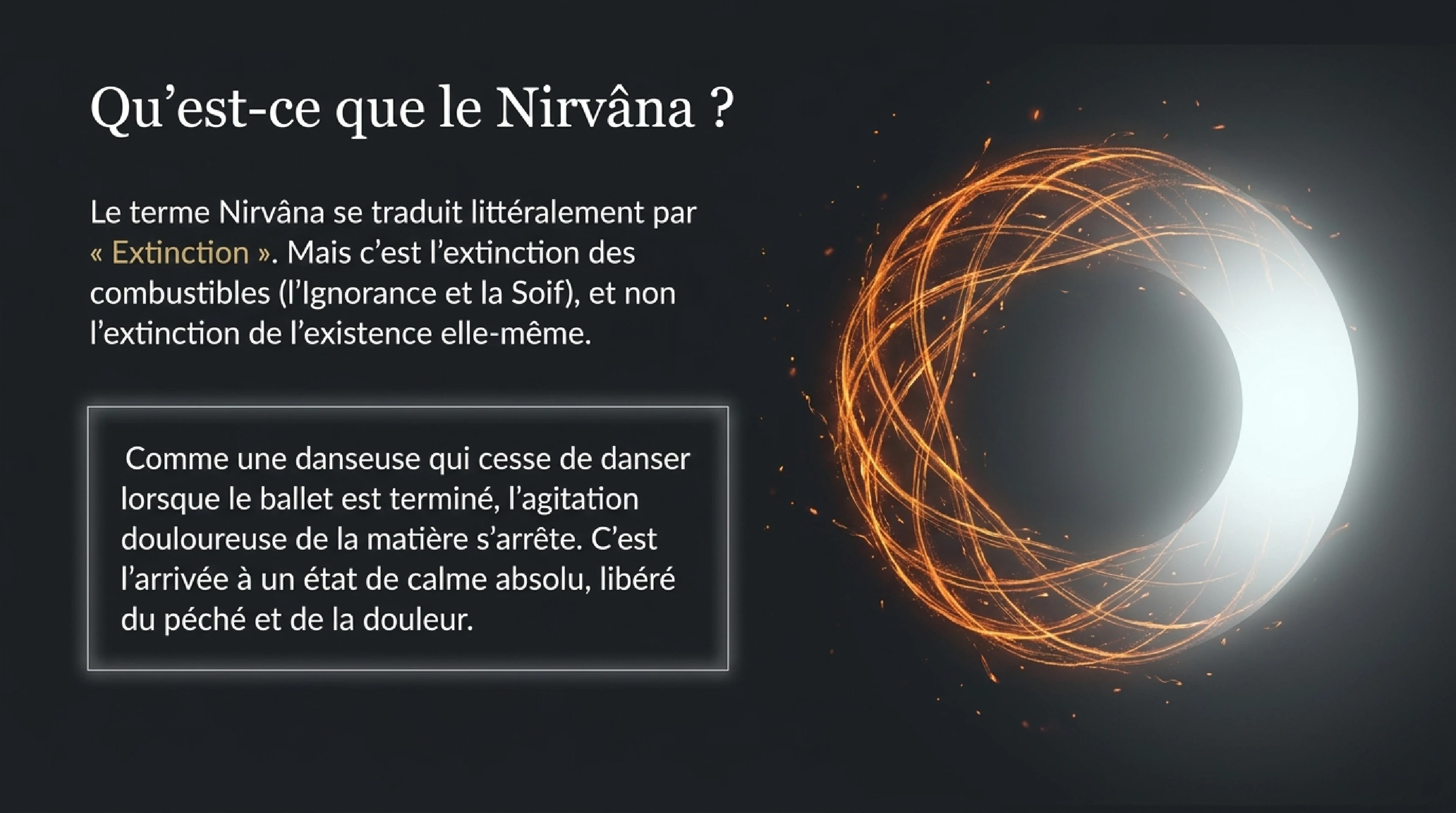Le Mystère du Nirvāna : Néant ou Éternité ? — visuel 9