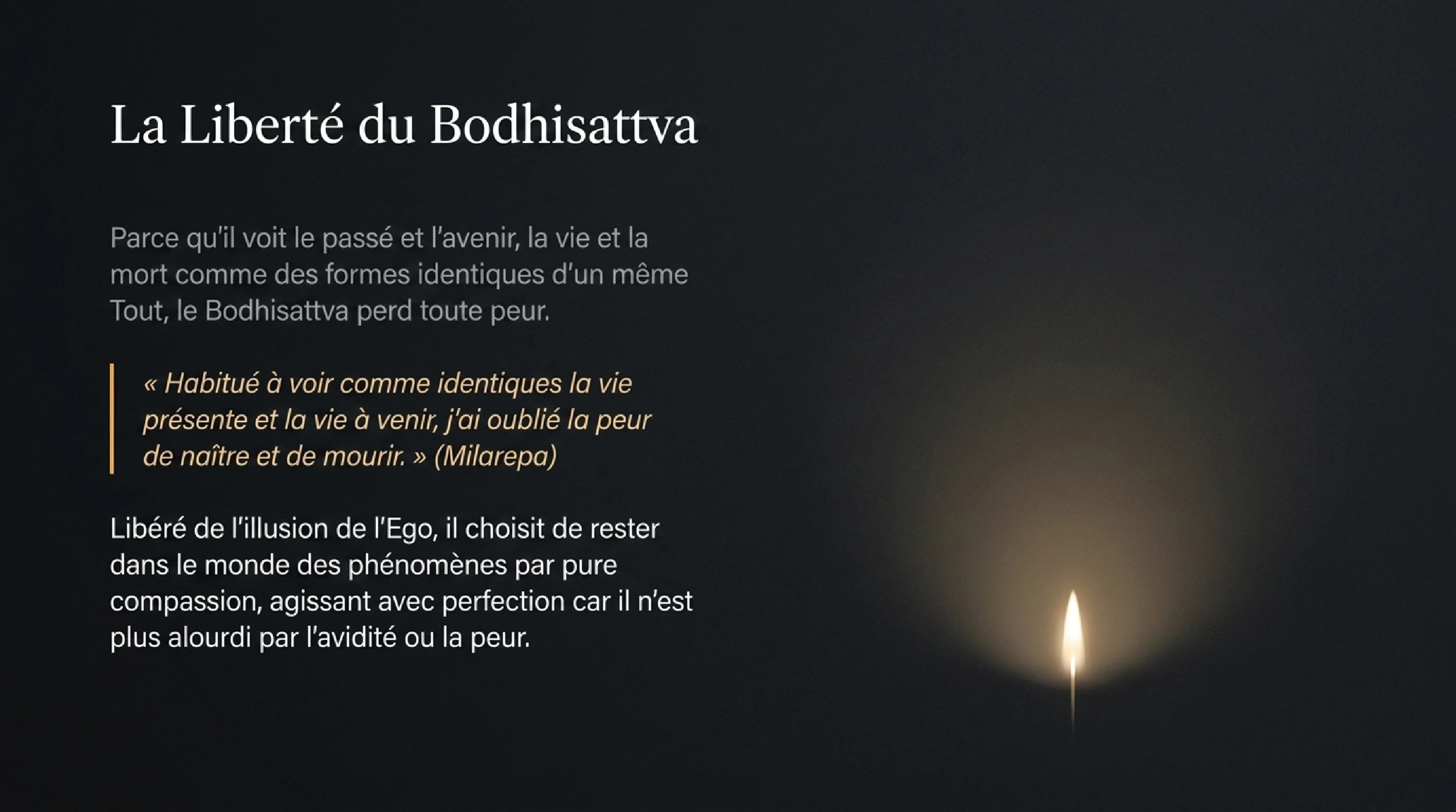 Le Mystère du Nirvāna : Néant ou Éternité ? — visuel 13