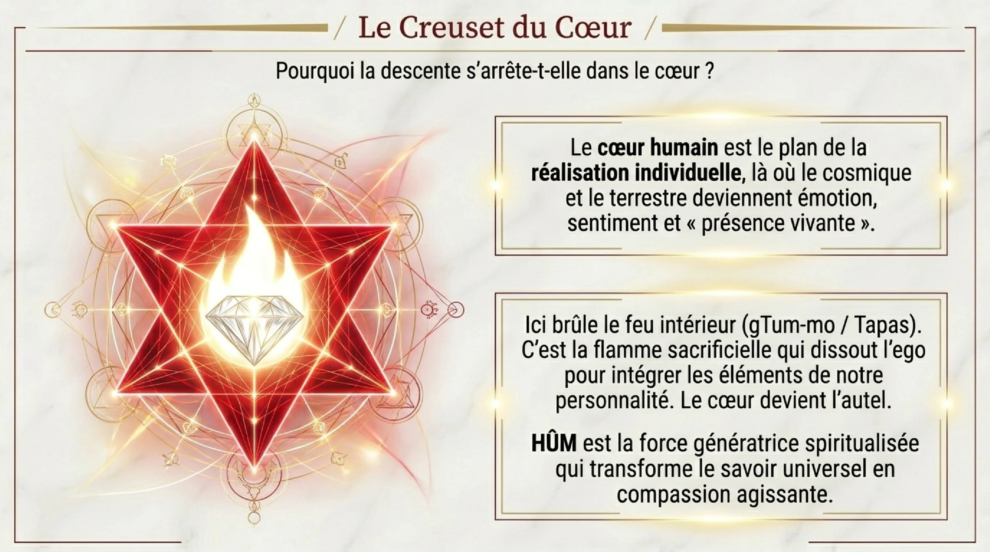 HŪM et l'Intégration dans le Cœur — visuel 11