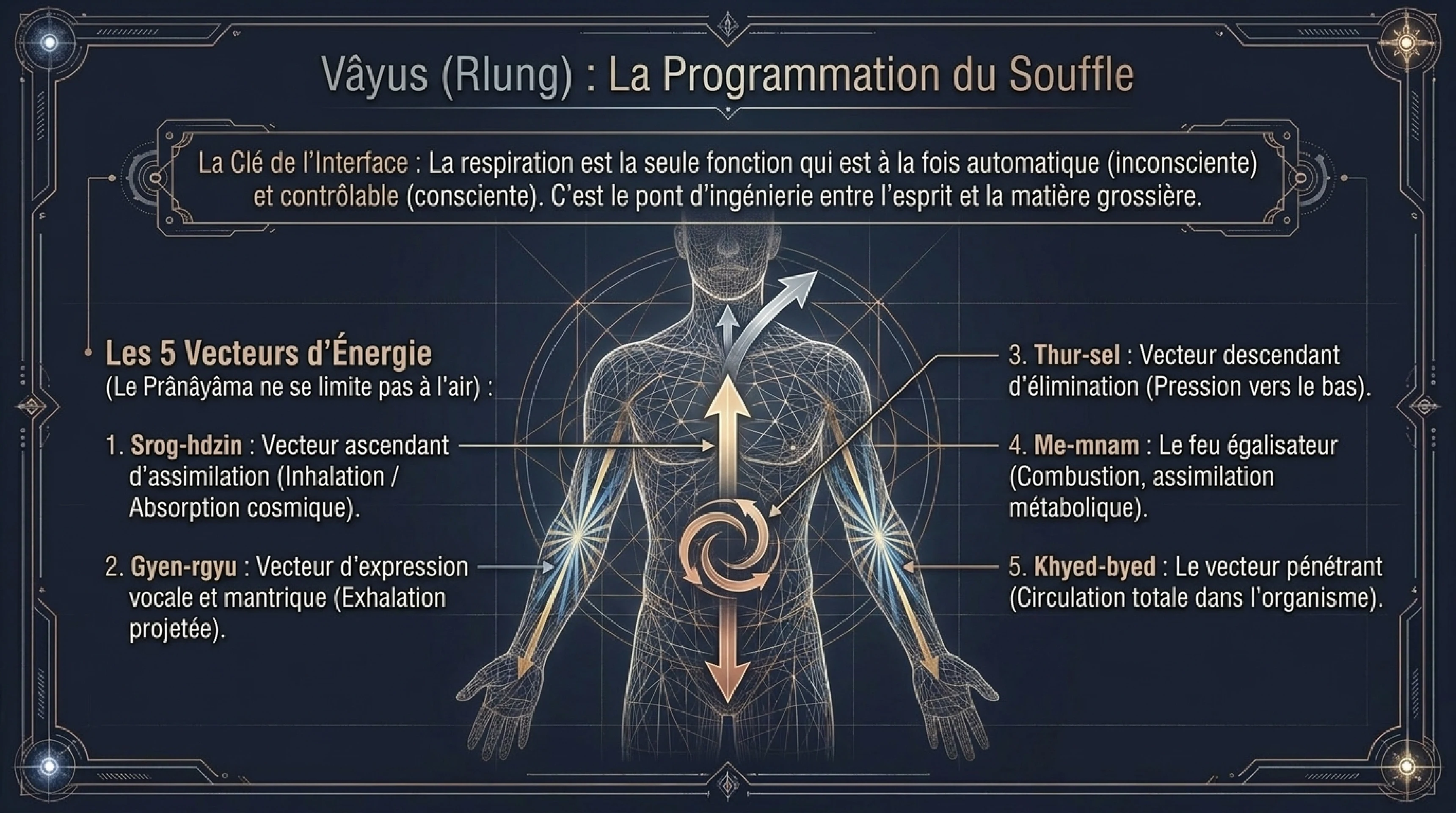 Anatomie Ésotérique : Chakras, Nâdîs et Prâna — visuel 8