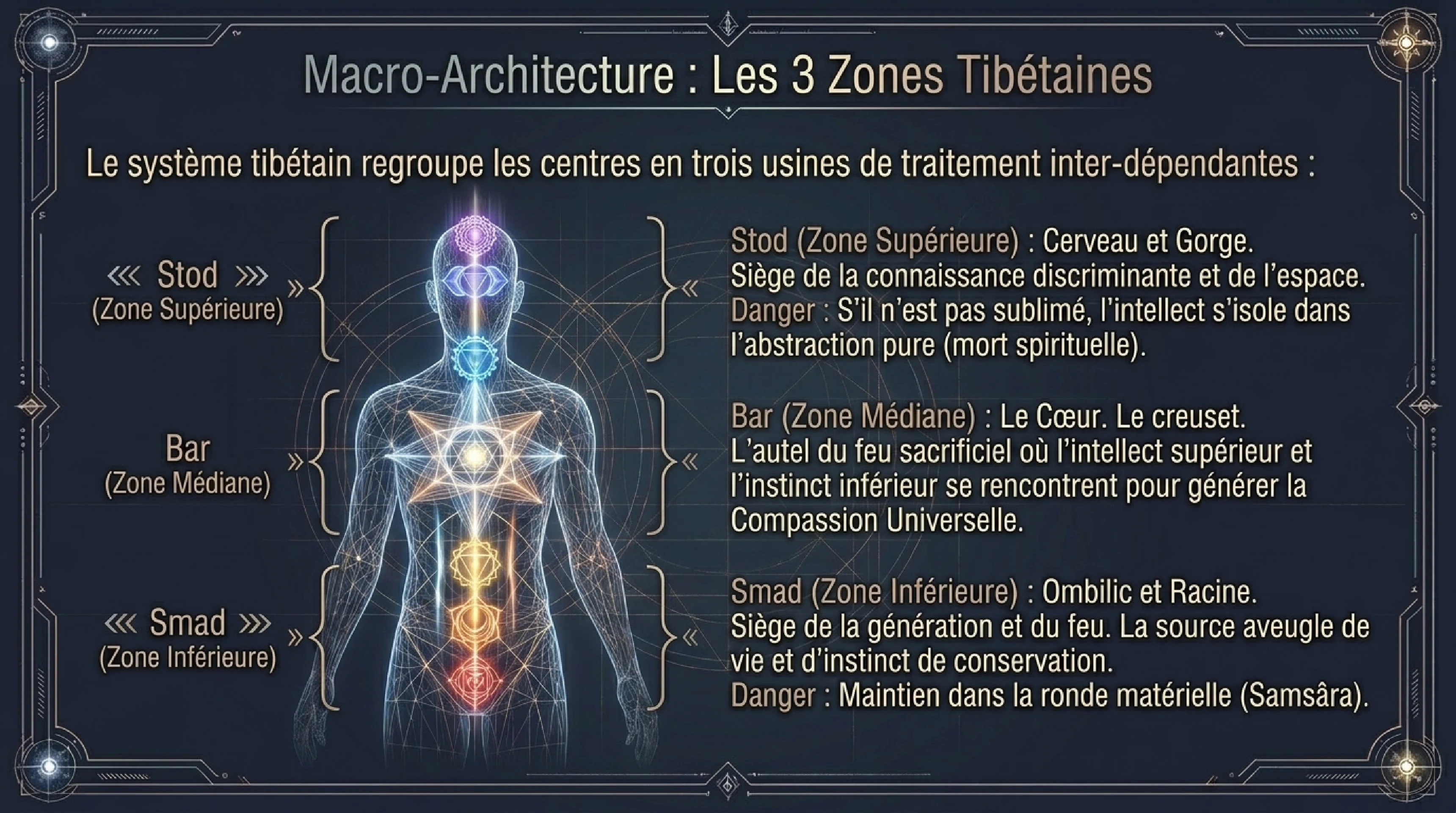 Anatomie Ésotérique : Chakras, Nâdîs et Prâna — visuel 11