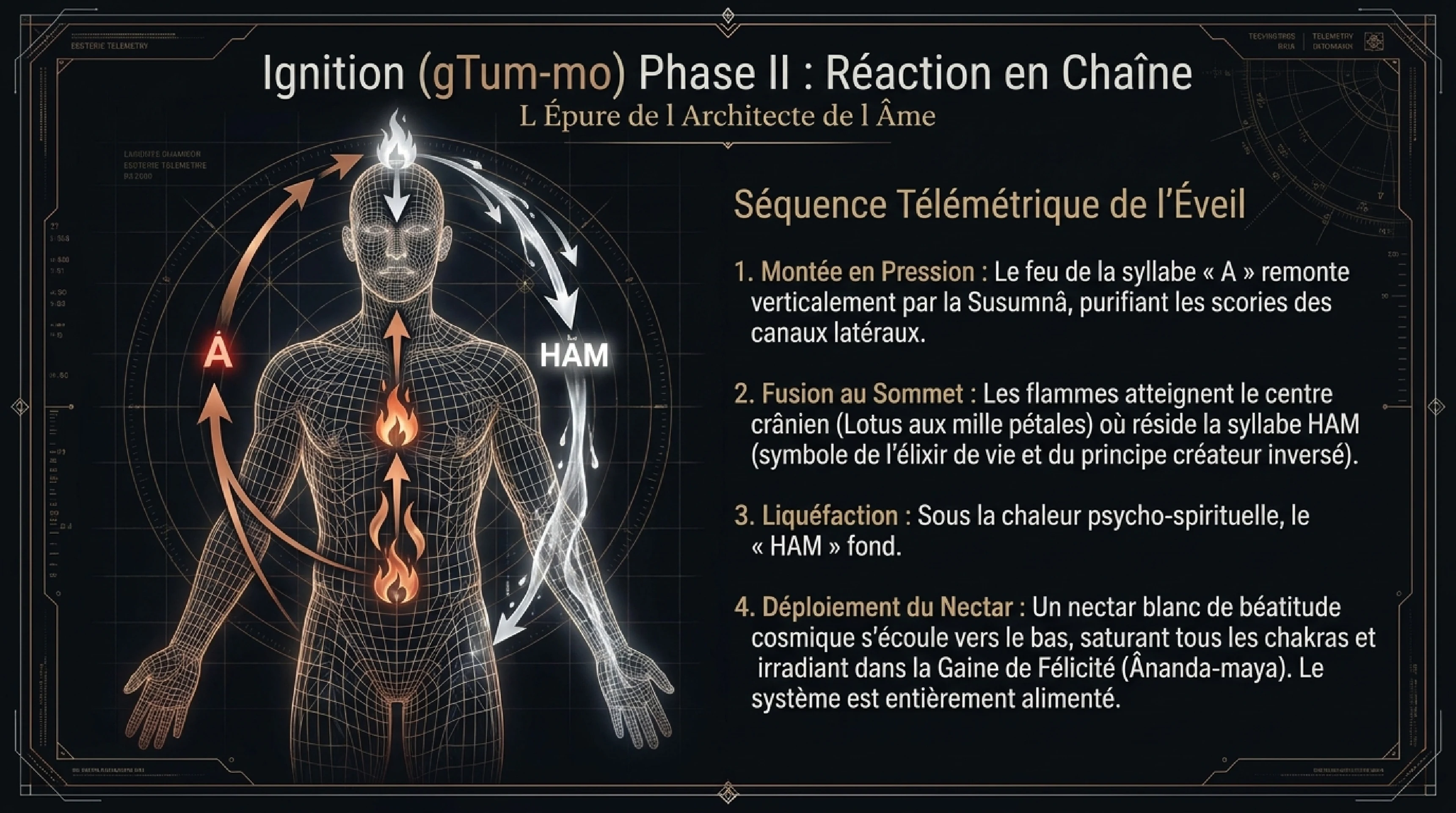 Anatomie Ésotérique : Chakras, Nâdîs et Prâna — visuel 14